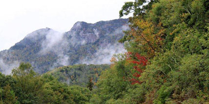 05.jpg